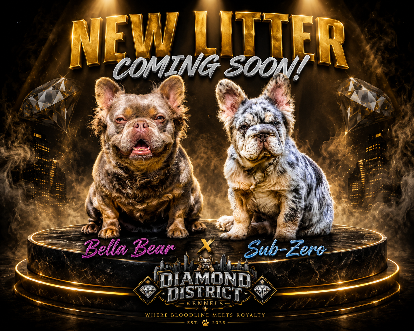 Sub-Zero Γ Bella Bear announcement flyer